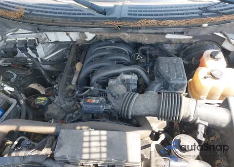 2009 Ford F-150 Stx/Xl/Xlt from USA, damaged, VIN 1FTRX12829FA89933